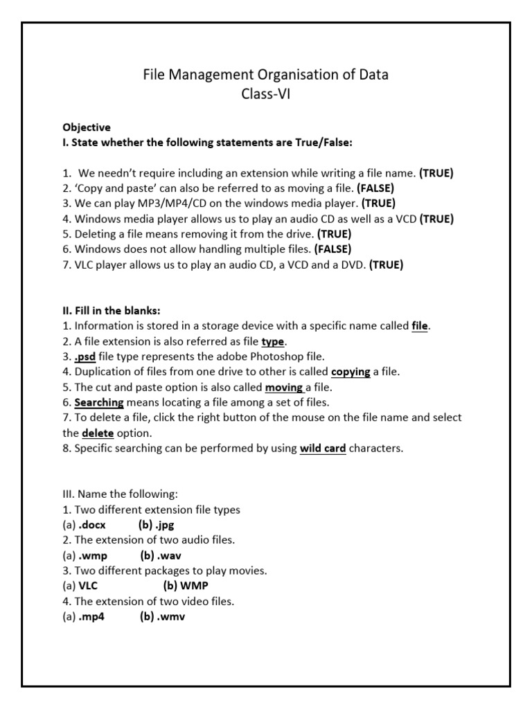 File Management Basics for Class VI | PDF | Computer File | Adobe Photoshop