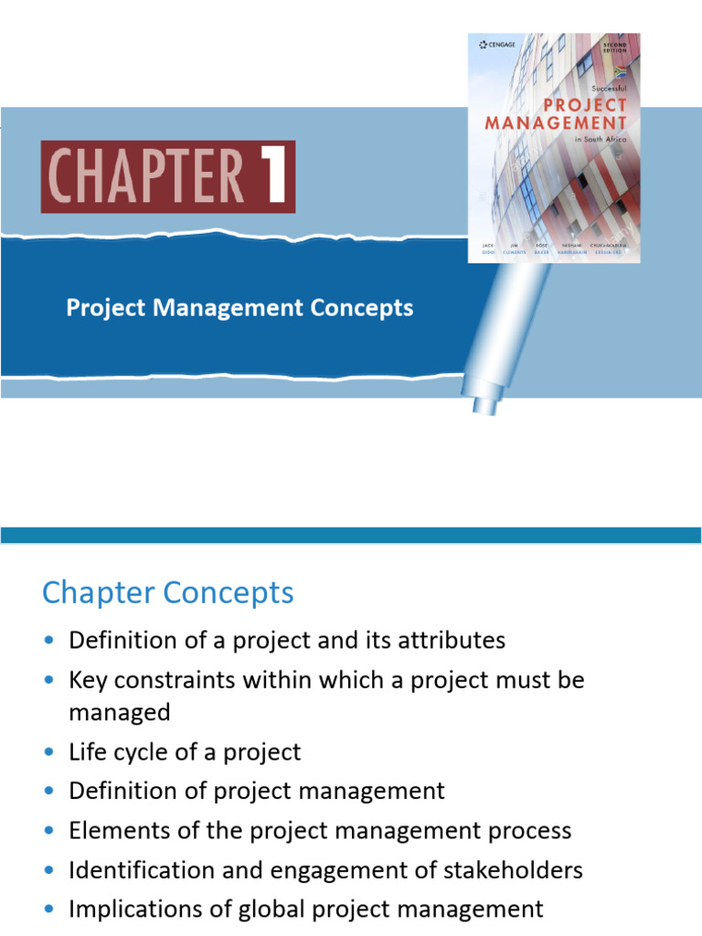 Project Management Essentials in SA | PDF | Project Management | Business