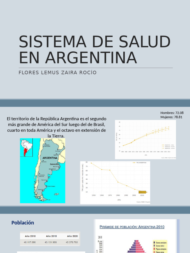 Sistema de Salud en Argentina: Estructura y Desafíos | PDF | Ciencias ...