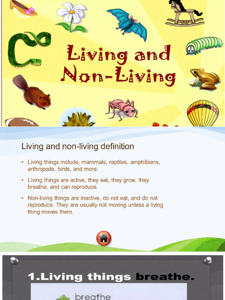 Living - Non Living | PDF