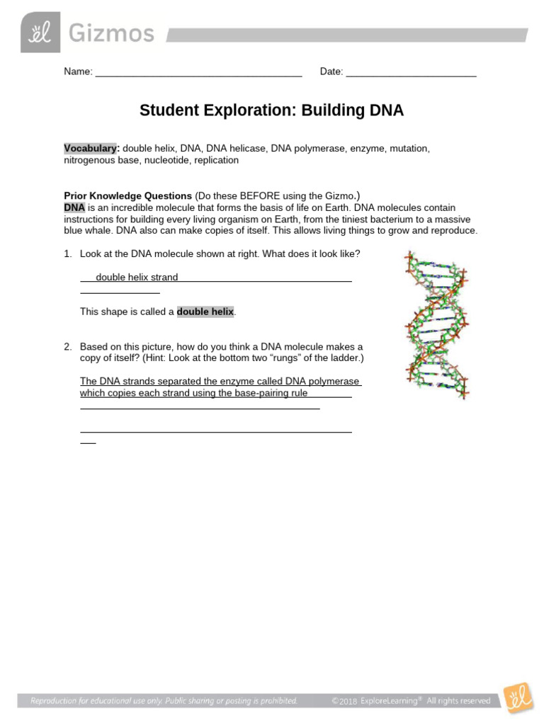 DNA Structure and Replication Guide | PDF | Dna | Dna Replication