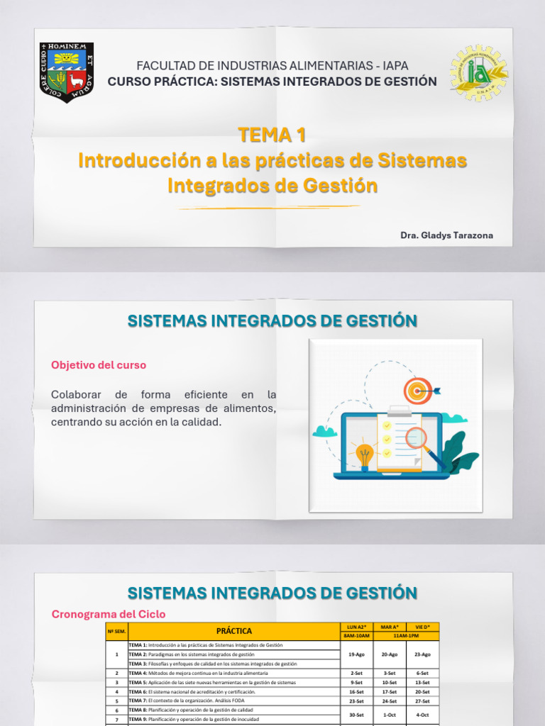 Curso de Sistemas Integrados de Gestión | PDF | Planificación | Business