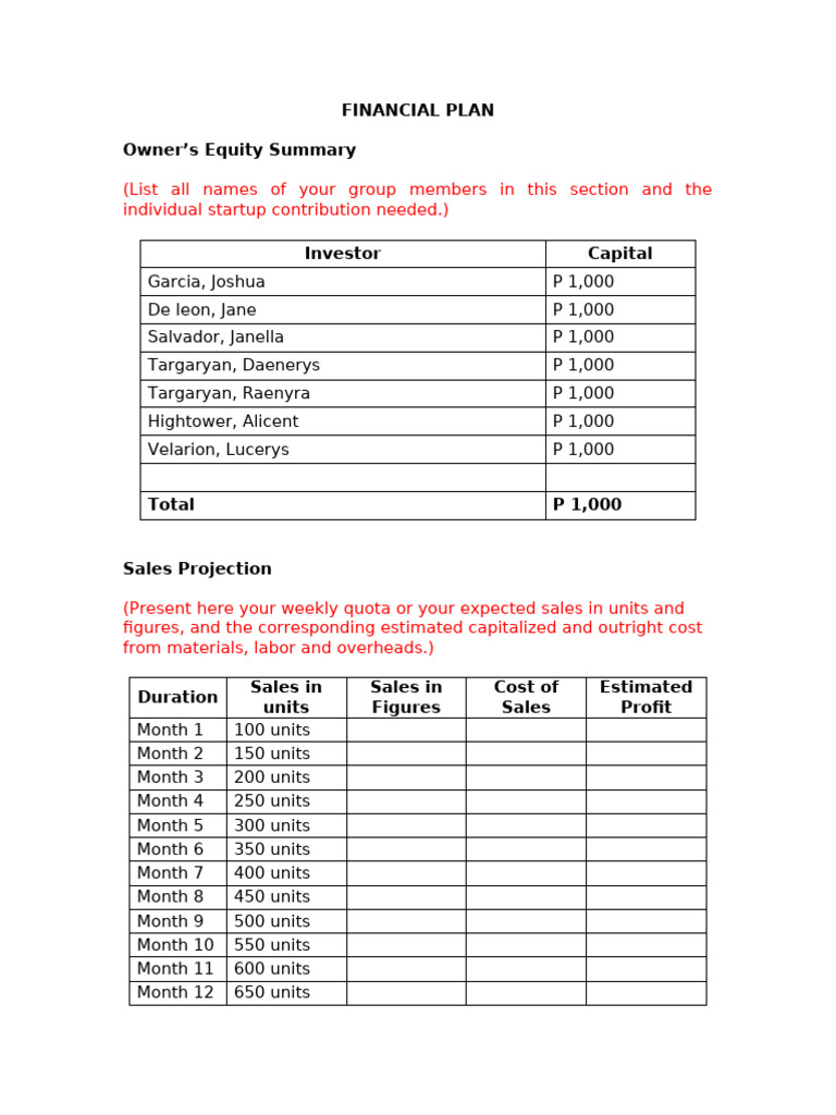 Financial Plan Format | PDF