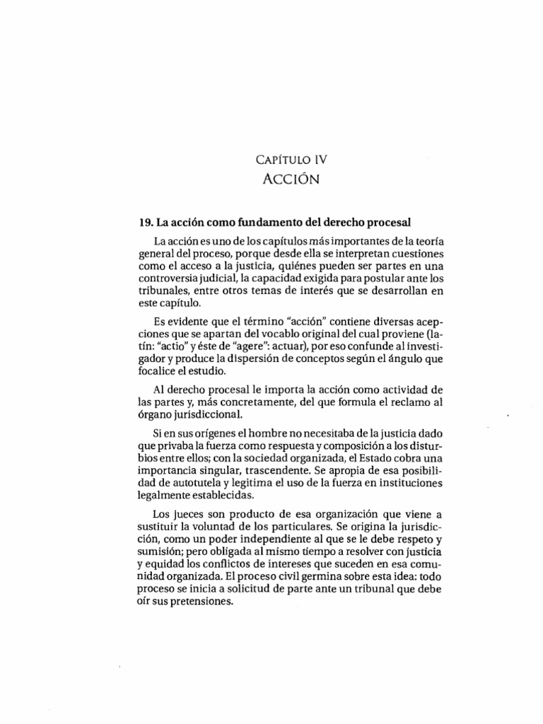 Acción, Pretensión Gozaini | PDF