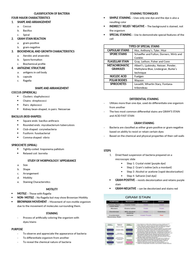 Bacterial Classification and Characteristics | PDF | Gram Positive ...