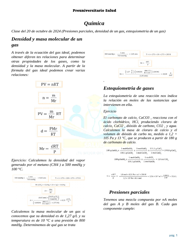 Densidad y Estequiometría de Gases | PDF | Gases | Mole (Unidad)