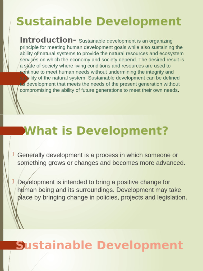 Understanding Sustainable Development | PDF | Sustainability ...
