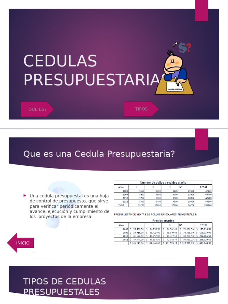 Tipos de Cédulas Presupuestarias | PDF | Presupuesto | Economias