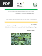 Techniques de culture de l'igname en Côte d'Ivoire | PDF | Agriculture ...