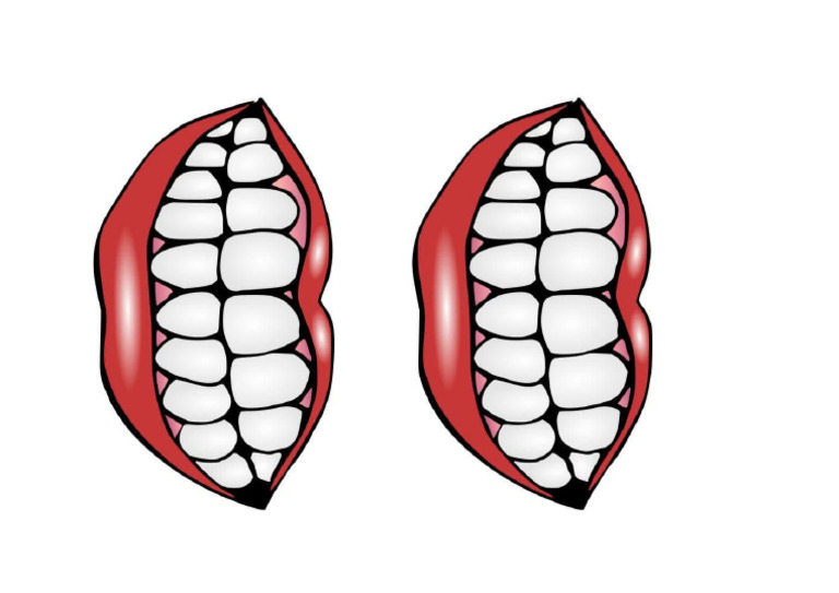Sep Brush Teeth | PDF