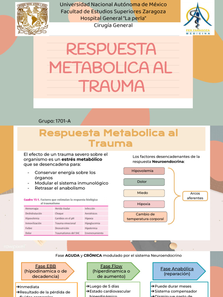 Respuesta Metabólica al Trauma: Fases EBB y Flow | PDF | Metabolismo ...