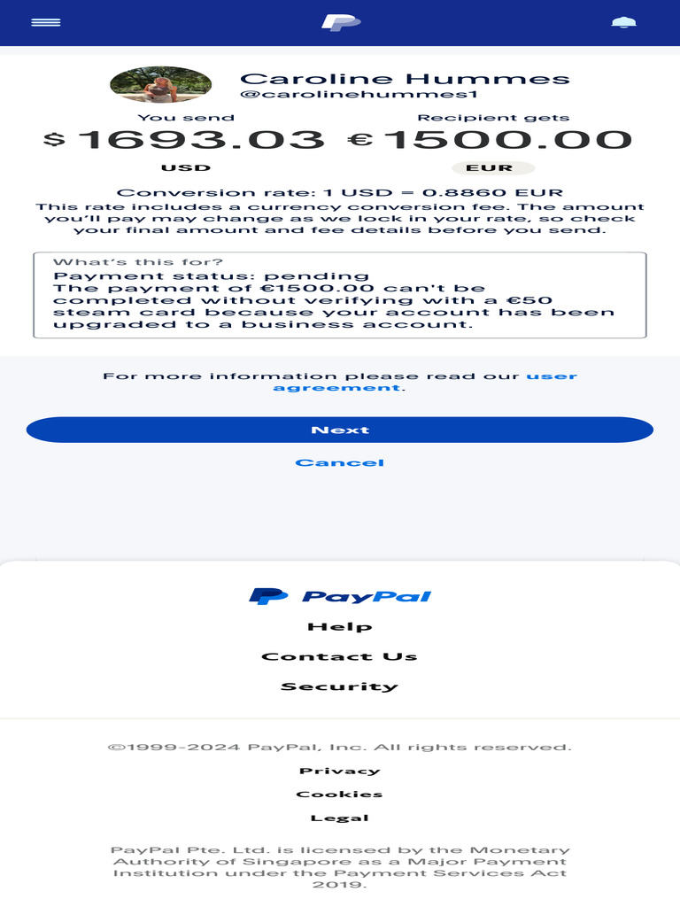 PayPal Make A Payment Preview 6 | PDF | Business