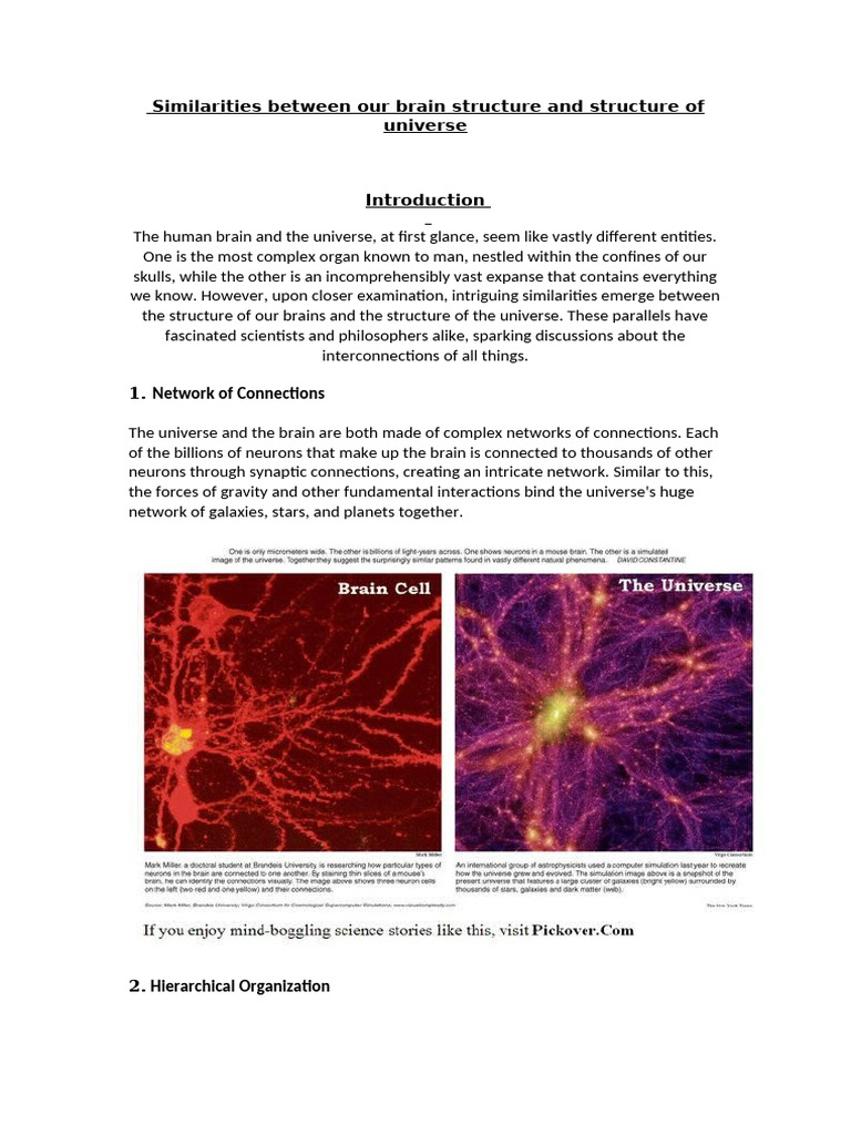 Brain and Universe: Structural Parallels | PDF | Universe | Brain