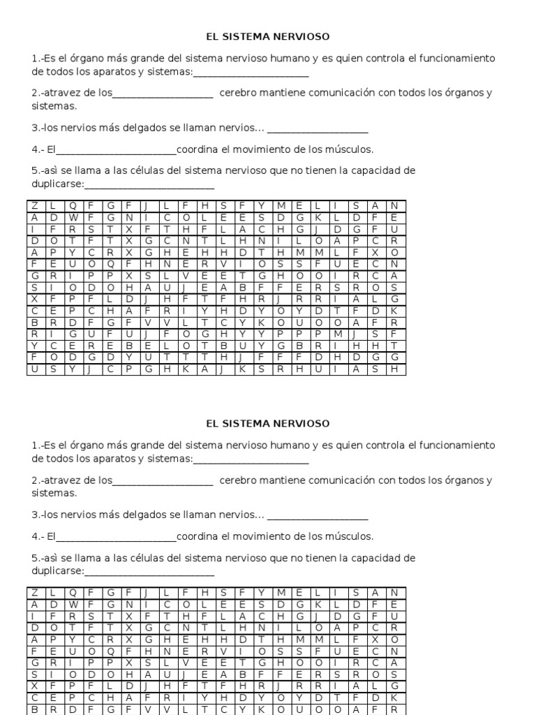 Ciencias Naturales El sistema nervioso(sopa de letras)[1]