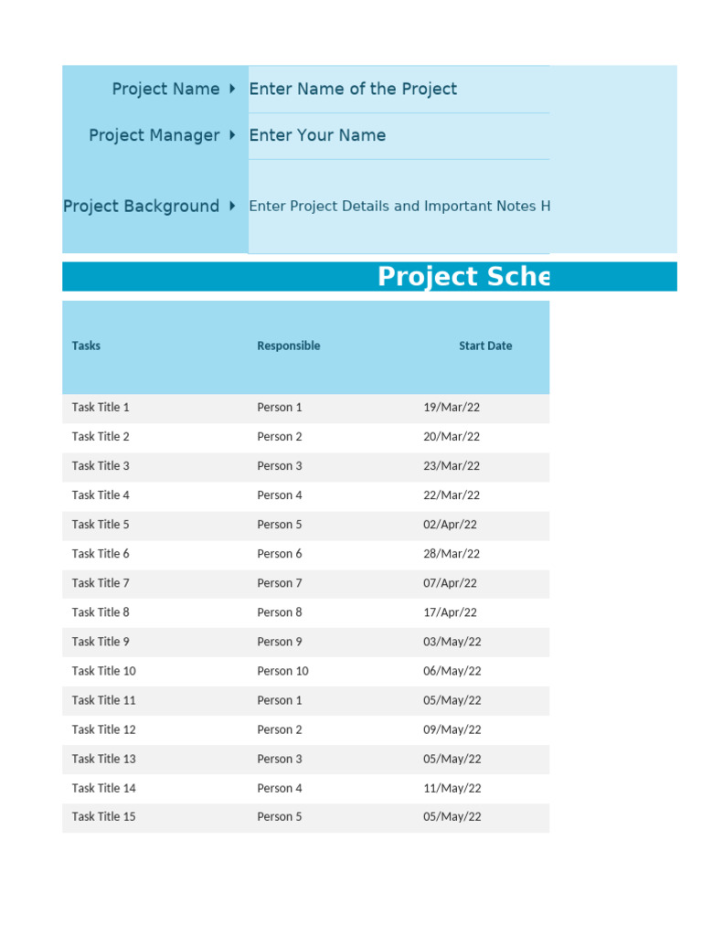Project Management Task Template | PDF