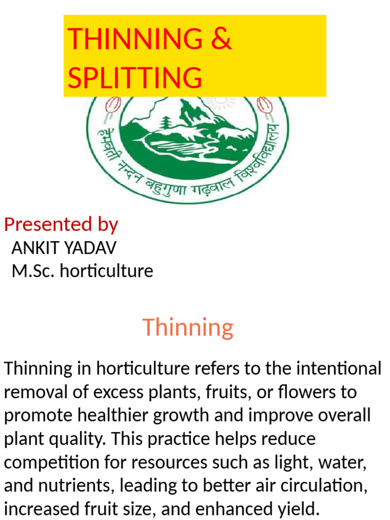 Horticultural Thinning and Splitting Guide | PDF | Plants | Root