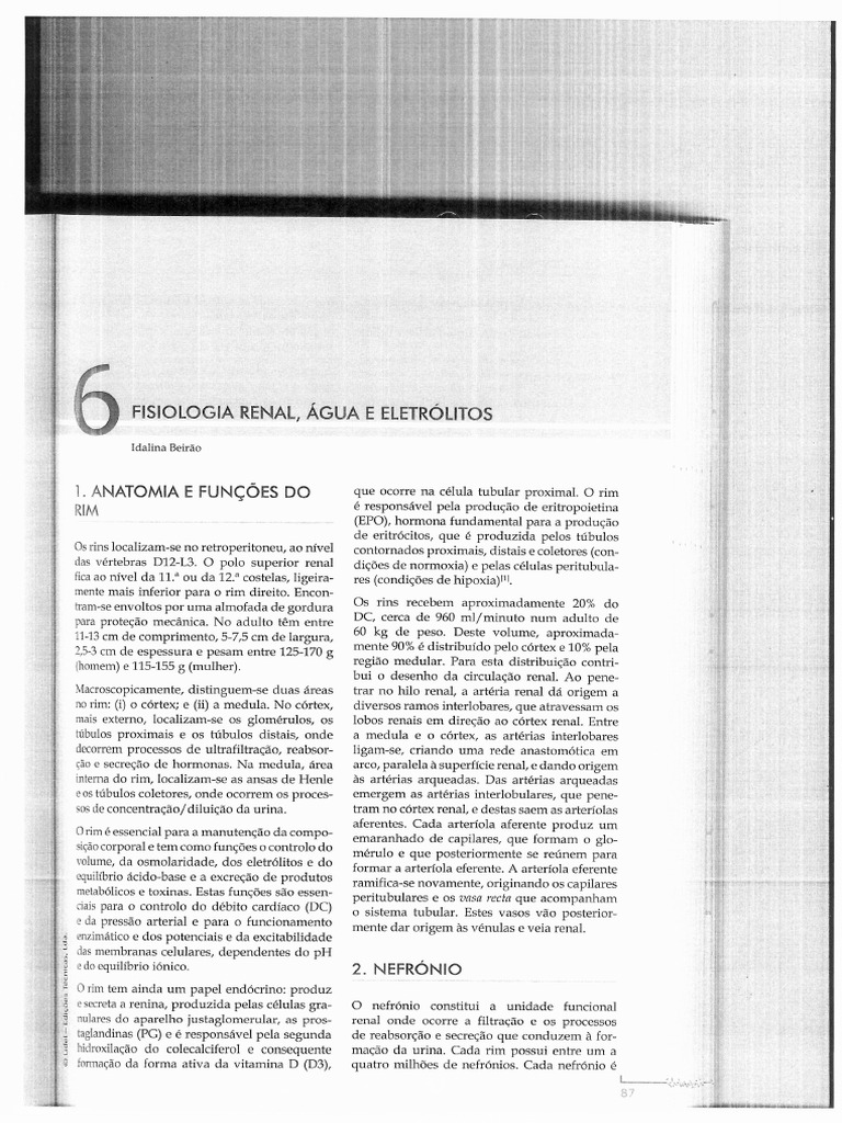Rim - Fisiologia Renal | PDF