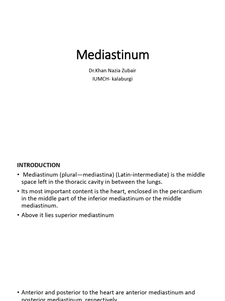 mediastinum11 | PDF | Aorta | Thorax