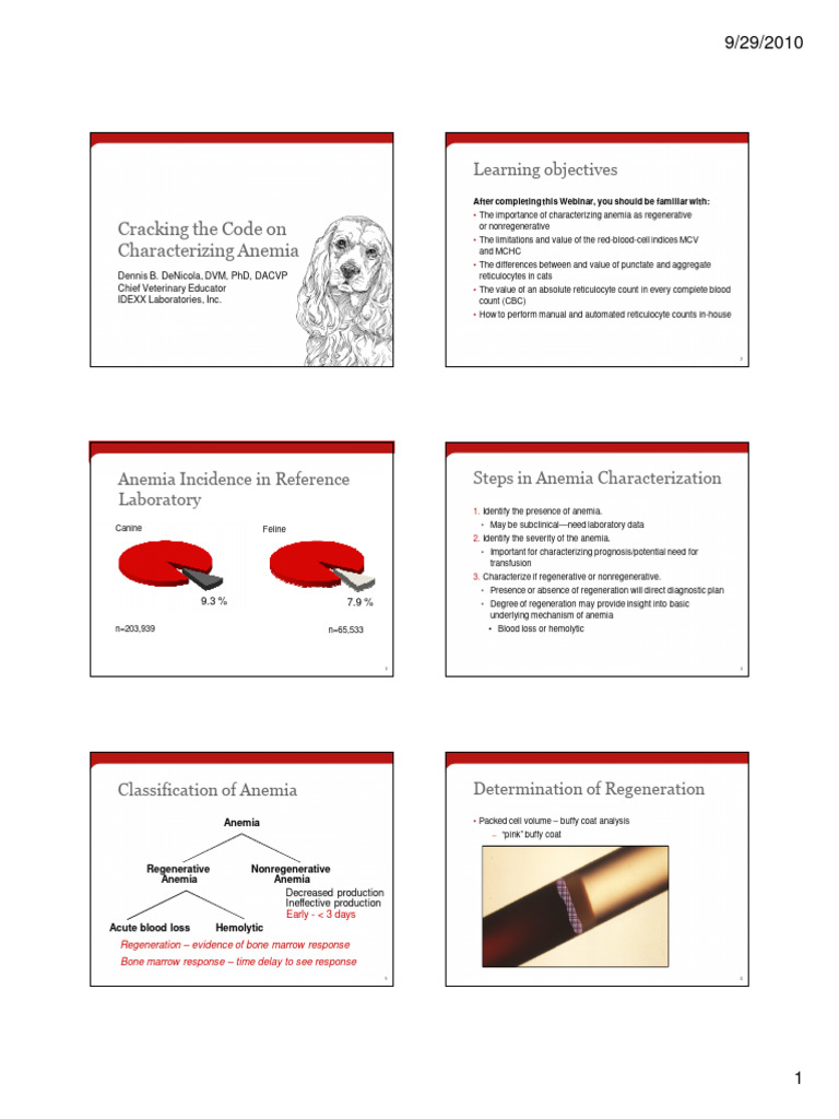 Characterizing Anemia Webinar Presentation 2010 | PDF | Anemia ...