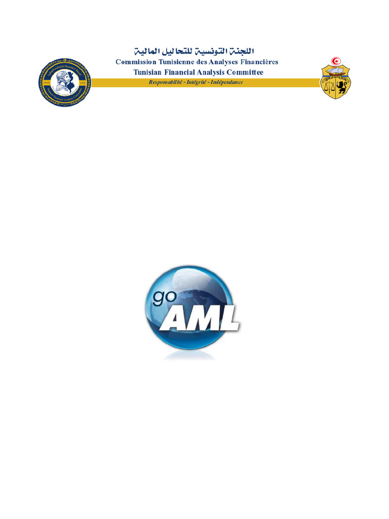 Standard de Déclaration GoAML Schema V5.0.2 | PDF | XML | Logiciel