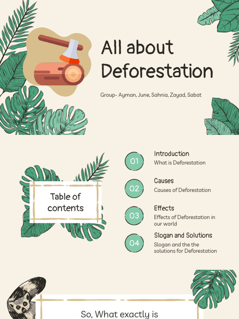 Understanding Deforestation: Causes & Effects | PDF | Deforestation | Soil