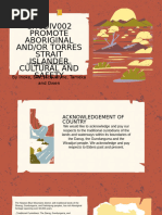 Aboriginal Cultural Safety Framework VIC | PDF | Indigenous Australians ...