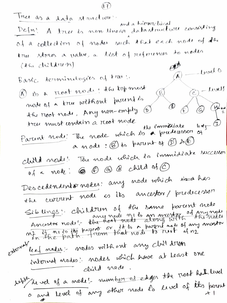Tree and Search | PDF