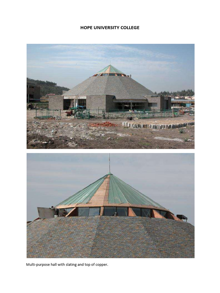 HopeUniv Progress Report 110221 | PDF