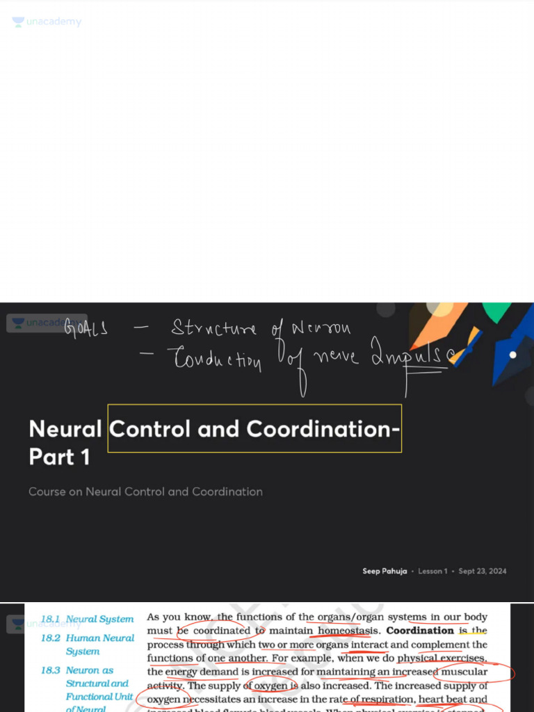Neural Control and Coordination Part 1 With Anno | PDF