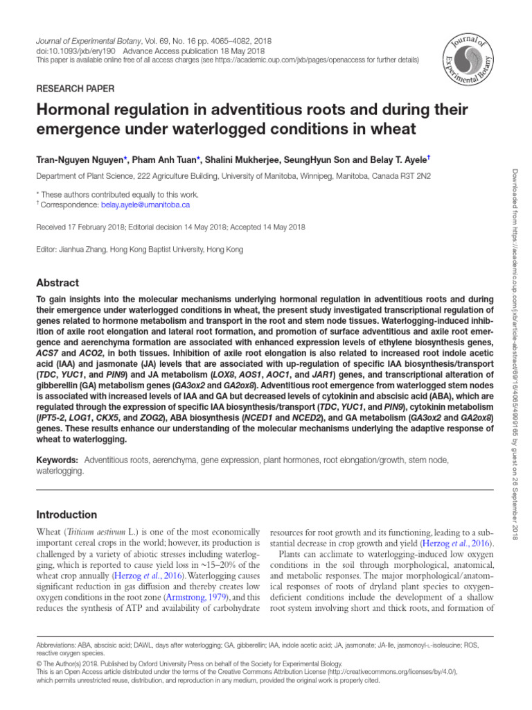 Hormonal Regulation in Adventitious Roots and During Their Emergence ...