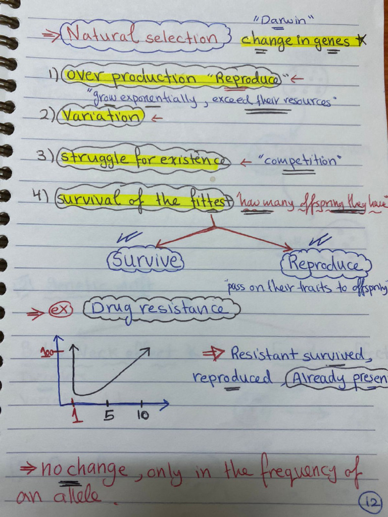 Mutation Notes | PDF