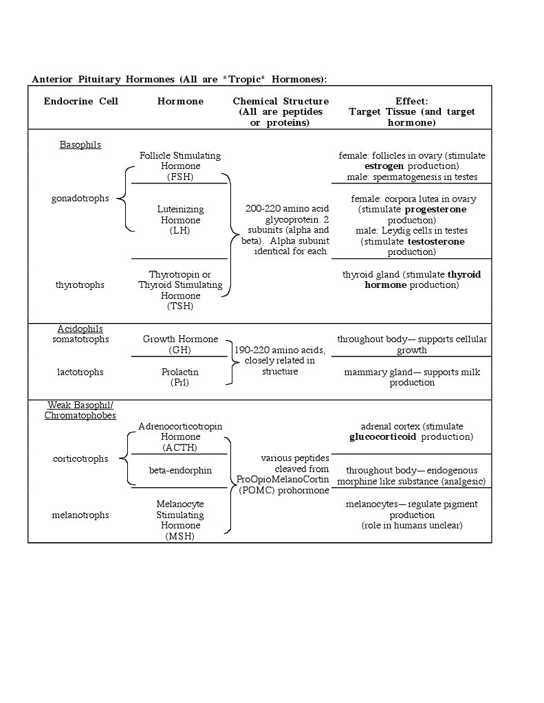 Anterior Pituitary Hormones Overview | PDF
