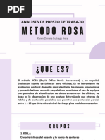 Ejemplo Metodo Rosa | PDF