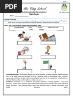 Overview of Lever Classes and Examples | PDF