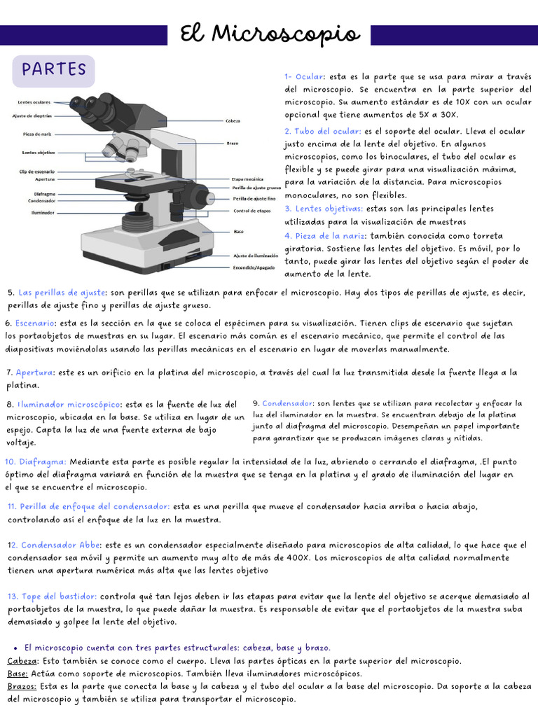 Partes Esenciales del Microscopio | PDF | Microscopio | Lente de la cámara