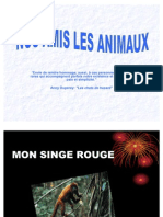 Nos Amis Les Animaux