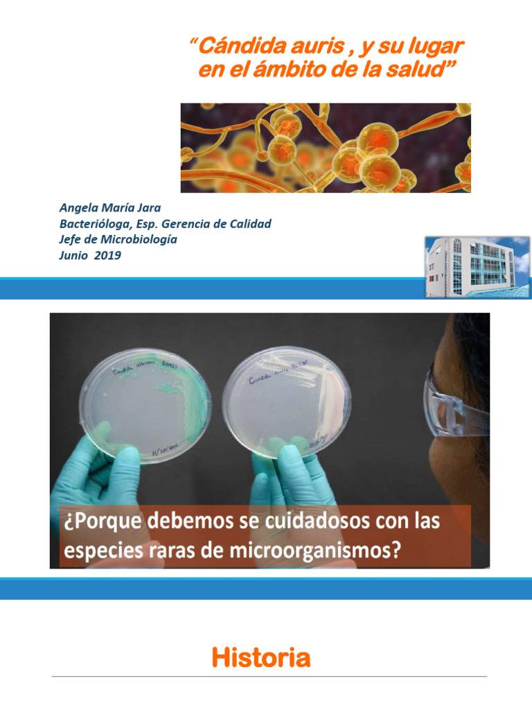 Candida Auris y Su Lugar en El Amb | PDF | Candida (hongo) | Infección