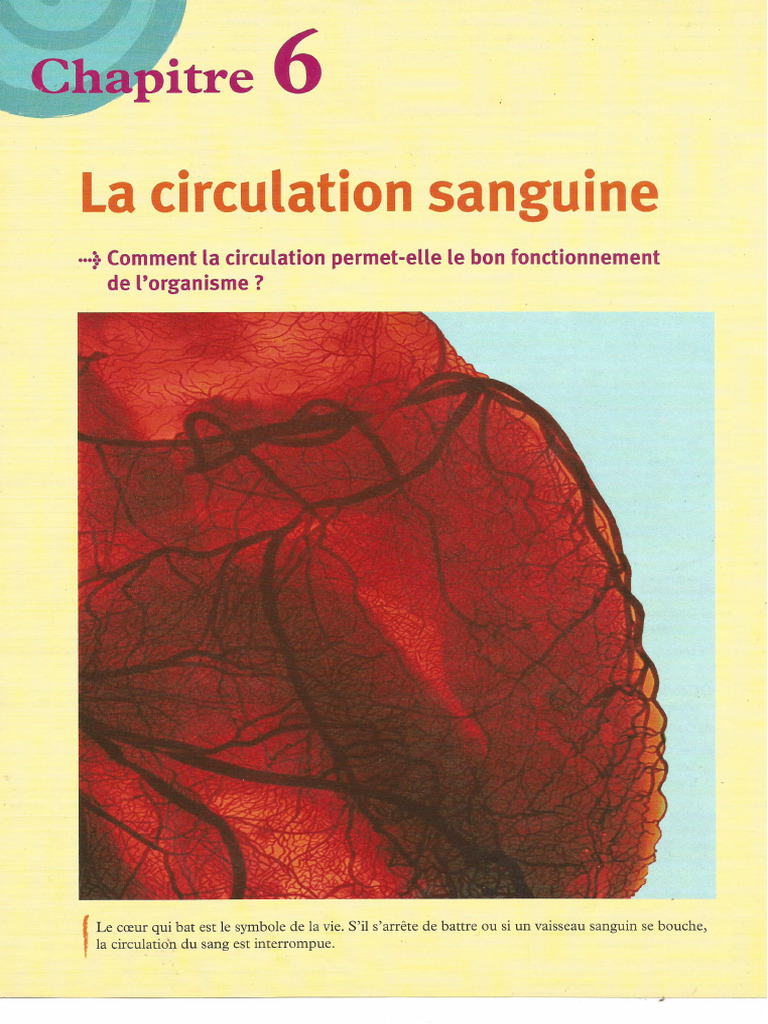 Circulation Sanguine | PDF