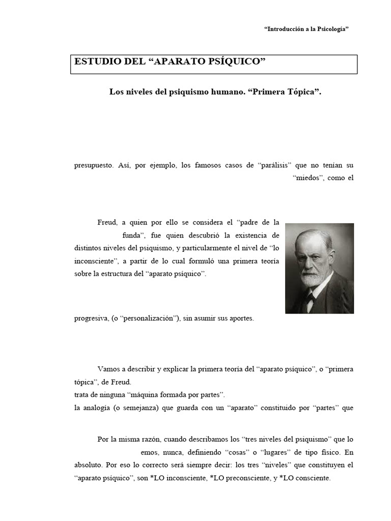 Labaké Aparato Psíquico | PDF | Carné de identidad | Mente inconsciente