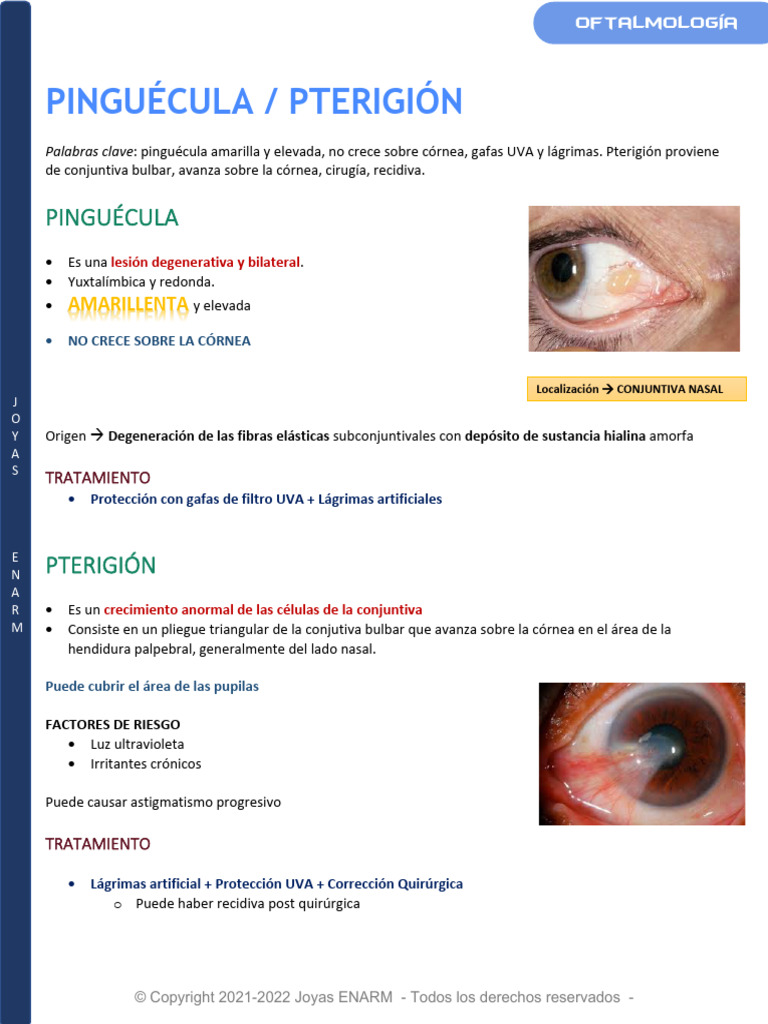 Pinguécula - Pterigión | PDF