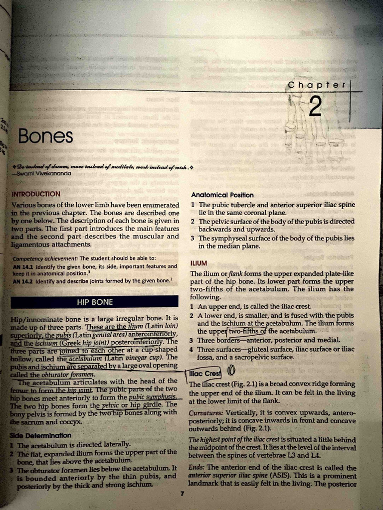 Book 22 Nov 2024 | PDF | Pelvis | Musculoskeletal System