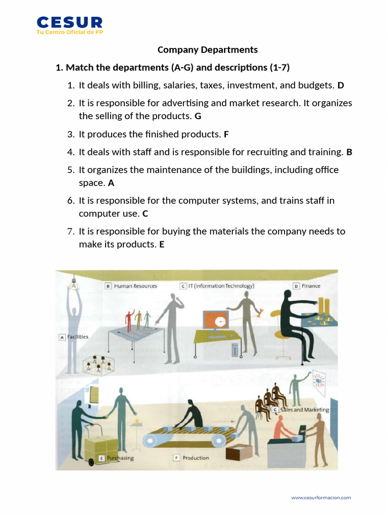 Company Departments and Functions Guide | PDF