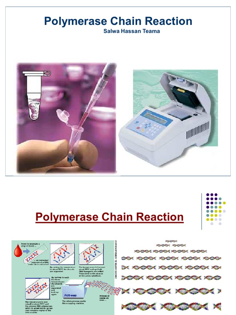 PCR and Thermus Aquaticus Polymerase | PDF | Polymerase Chain Reaction ...
