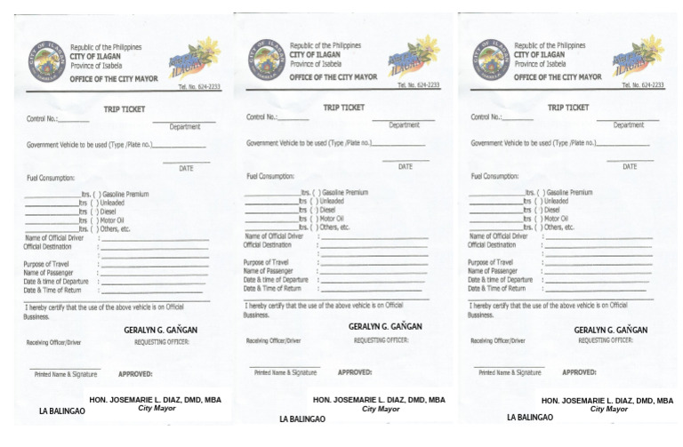 Gas Slip | PDF
