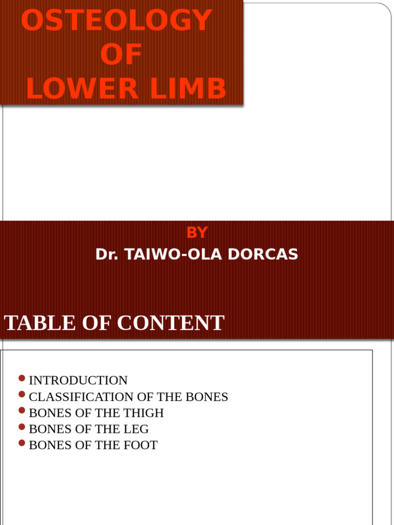Osteology of the Lower Limb Explained | PDF | Human Leg | Lower Limb ...
