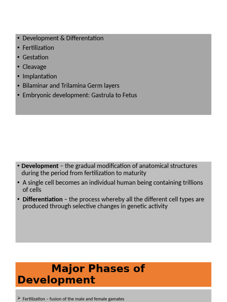 Cleavage and Implantation Overview | PDF | Placenta | Uterus