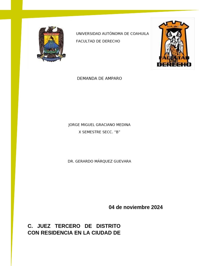 Demada de Amparo | PDF | Caso de ley | Demanda judicial