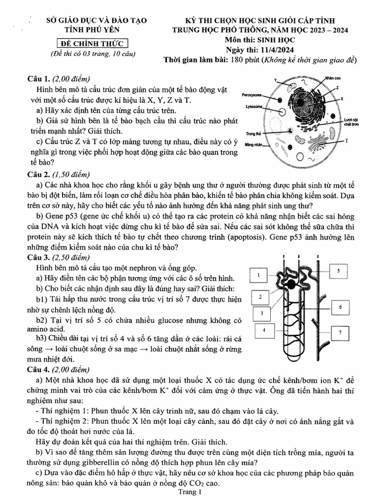 Sinh Hoc - THPT - 2024 | PDF