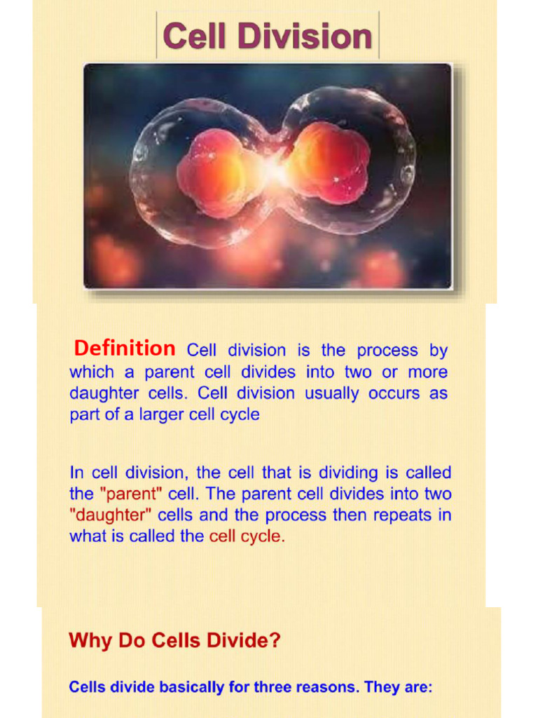 Meiosis: Occurrence and Impact | PDF | Science & Mathematics