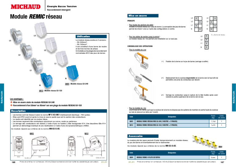 Modules REMIC pour Raccordement Électrique | PDF | Électrotechnique ...